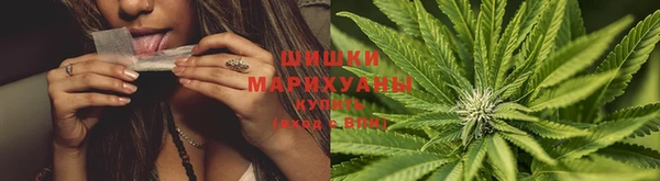 а пвп мука Белокуриха