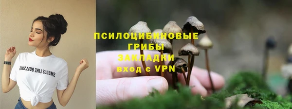 а пвп мука Белокуриха